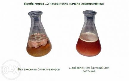 Вибираємо правильно вигрібної септик для приватного будинку або дачі, будівельний портал