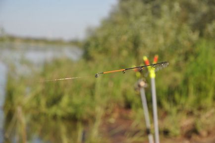 Вибір фідерної вершинки