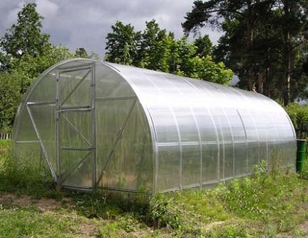 Cultivarea fină a abilităților de tomate