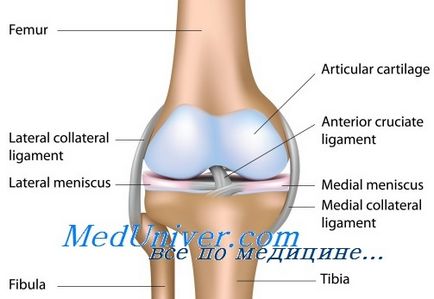 Genunchiul articulației patelare articulare