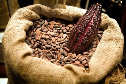 În ce pungi este cel mai bun pentru a stoca cereale, cereale, zahăr, boabe de cacao, ovăz și alte naturale