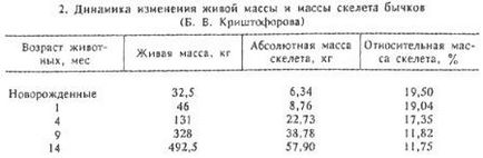 Вікові і адаптивні особливості скелета тварин - все про ветеринарію