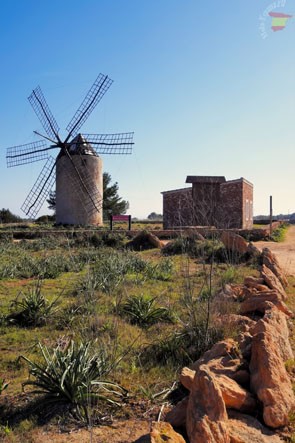 Minden, ami tudni érdemes Formentera szigetén