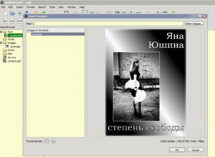 Am inserat coperta în cartea electronică. Epub - clasă de master - articole - catalog de articole - carte pe