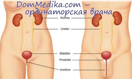 Хронічна затримка сечі