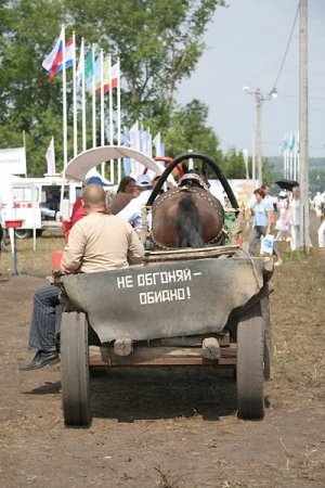 Забавні вивіски і назви - кращий жіночий форум худнуть