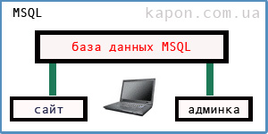 Навіщо потрібні бази даних msql