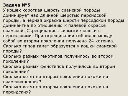 Завдання №5 у кішок коротка шерсть сіамської породи домінує над - презентація 93950-24