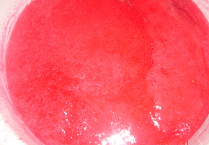 Jelly din coacăz roșu pentru iarna - 10 rețete simple