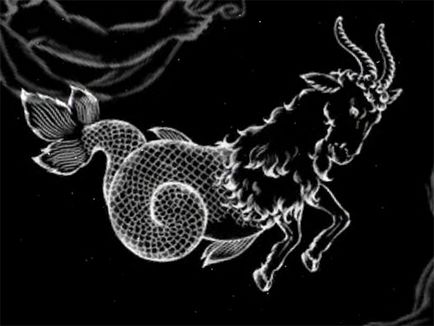 Semnul zodiacului Capricorn dragoste, relatie, casatorie