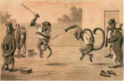 10 kevéssé ismert tényeket Darwin (Darwin lakókörnyezet) 10 kevéssé ismert tényeket Darwin