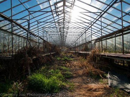 35 Locuri abandonate din întreaga lume care arată cum va arăta lumea fără oameni, umkra