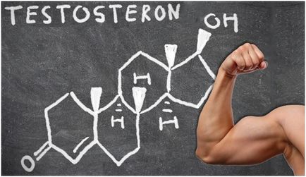 8 Дивних вітамінів і мікроелементів для підняття чоловічого тестостерону
