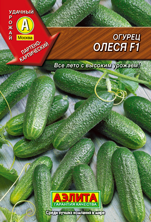 Agrofirma aelita, castravete olesya f1 b