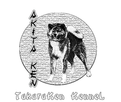 Akita Inu kennel és magán tenyésztő