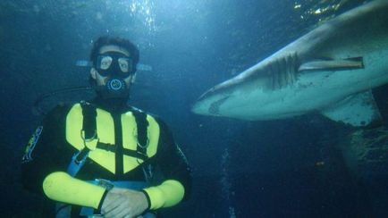 Shark-salvatorii sau ca prădători au ajutat oamenii să supraviețuiască