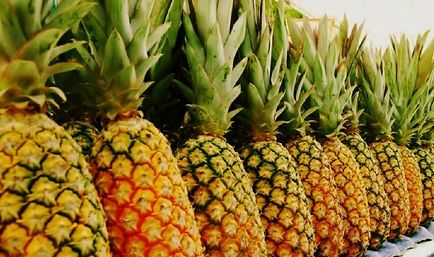 Ananas proprietăți utile și sfaturi de stocare