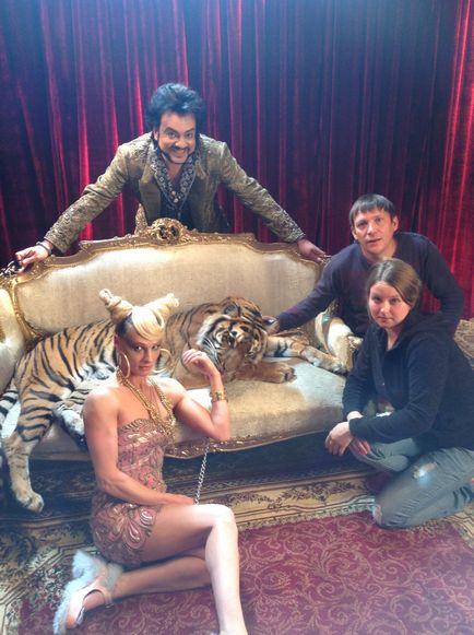 Béreljen képzett tigris forgatás, fotózások és rendezvények tigris Shakira