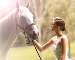 Închiriați cai pentru o nuntă și pentru orice alt eveniment din Rostov