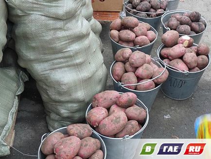 Prețurile de piață pentru cartofi și legume