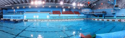 Bilete la dolphinarium din Sankt-Petersburg pe insula Krestovsky de la 400 de ruble