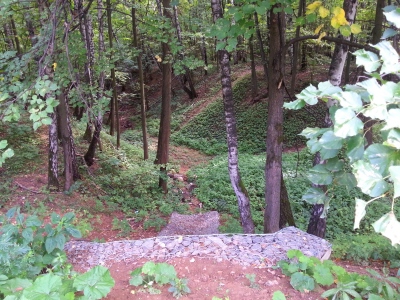 Bitsevskaya Forest Park, Moscova Atracții