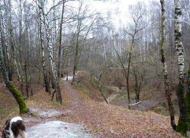 Bitsevskaya Forest Park, Moscova Atracții