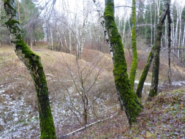 Bitsevskaya Forest Park, Moscova Atracții