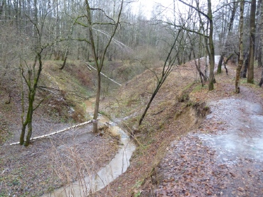 Bitsevskaya Forest Park, Moscova Atracții