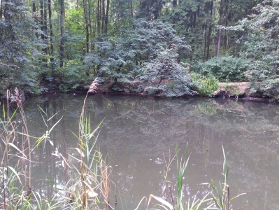 Bitsevskaya Forest Park, Moscova Atracții