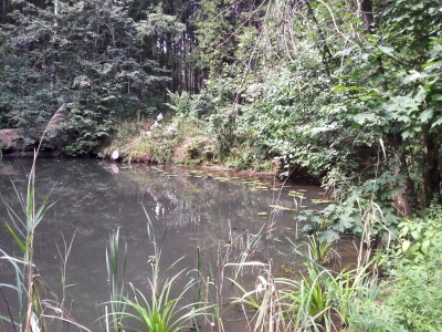 Bitsevskaya Forest Park, Moscova Atracții