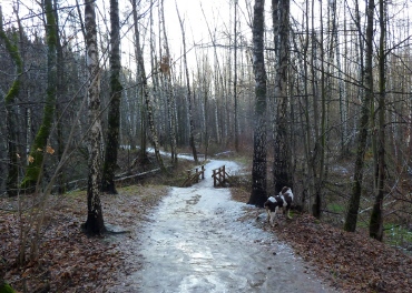 Bitsevskaya Forest Park, Moscova Atracții