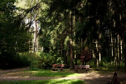 Bitsevskaya Forest Park, Moscova Atracții