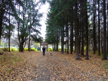 Bitsevskaya Forest Park, Moscova Atracții