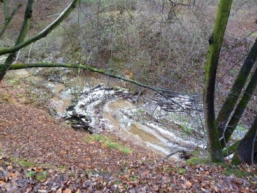 Bitsevskaya Forest Park, Moscova Atracții