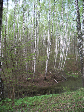 Бітцевського лісопарк, пам'ятки москви