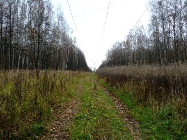 Бітцевського лісопарк, пам'ятки москви