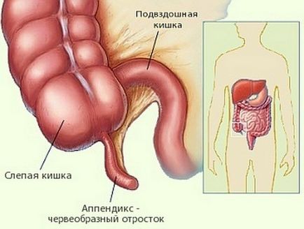 Durerea în intestinul gros provoacă apariția, diagnosticarea bolilor - vii sănătoși