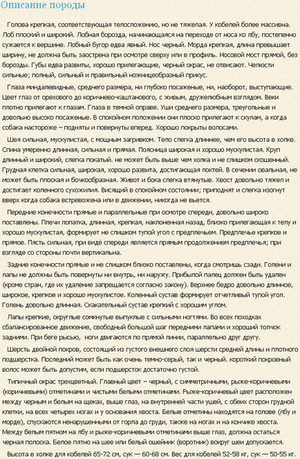 Великий швейцарський зенненхунд опис породи, інформація про відхід, характер собаки