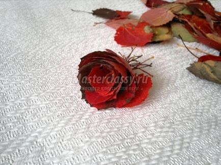 Csokor őszi levelek és hegyi kőris kezük (csokor) Csokor őszi levelek és hegyi kőris kezük
