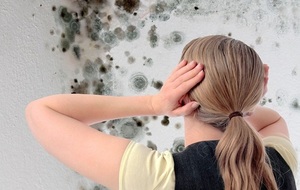 Ce trebuie să faceți dacă a existat mucegai pe perete în căile apartamentului și mijloace pentru a scăpa de ciuperca din
