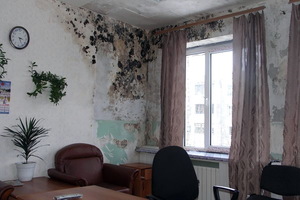 Ce trebuie să faceți dacă a existat mucegai pe perete în căile apartamentului și mijloace pentru a scăpa de ciuperca din