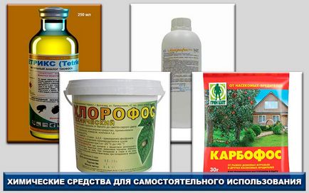 Що додати під час ремонту в шпалерний клей від клопів