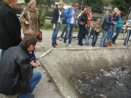 Mit kell hozni néhány ajándéktárgyak Szocsi vásárolni Szocsiban