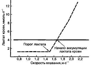 Що таке - лактатний поріг