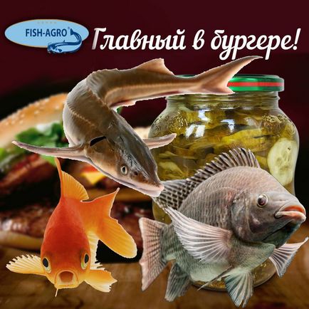 Ce este pește-agro, echipamente de creștere a peștilor și piscicultură în yuz