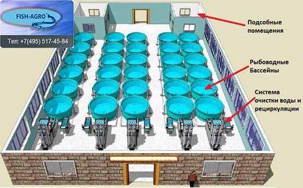 Що таке узв - fish-agro, обладнання для розведення риби та рибництво в узв