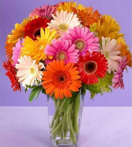 Квіти з капризами поради як продовжити життя у вазі 19 різних квітів - корисні поради