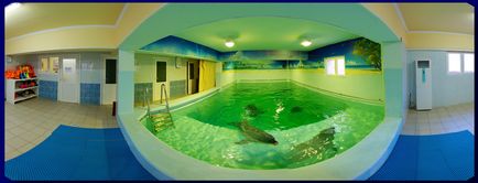 Terapia cu delfinii, delfinariul, steluta (delfinariul) Terapia cu delfinii, delfinariul de mare