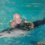 Terapia cu delfin în lazarevsky fotografie, video, pe hartă, recenzii
